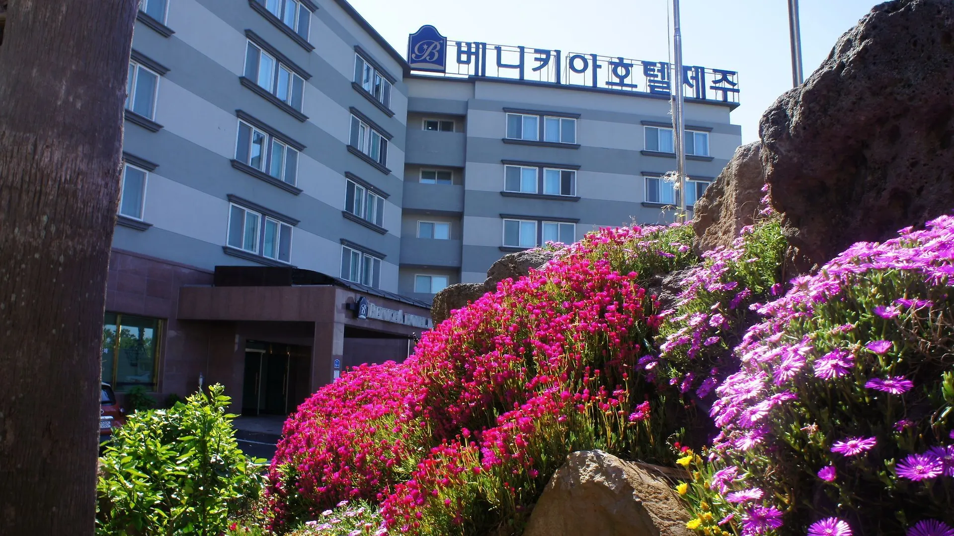 Benikea Hotel Чеджудо